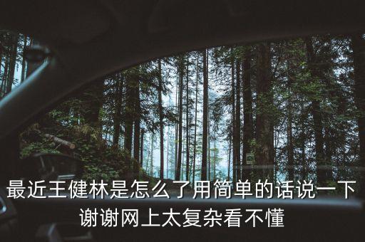 最近王健林是怎么了用簡單的話說一下謝謝網(wǎng)上太復(fù)雜看不懂