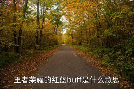 王者榮耀的紅藍buff是什么意思