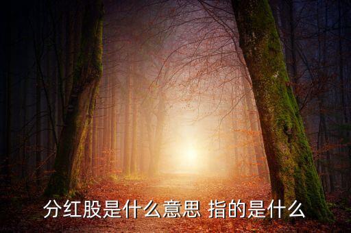 分紅股是什么意思 指的是什么