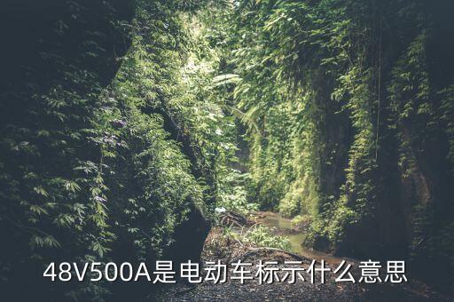 金鷹500a是什么，蓄電池上面寫著12v 60ah500a是什么意思