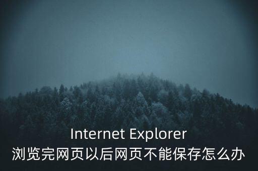 Internet Explorer瀏覽完網(wǎng)頁(yè)以后網(wǎng)頁(yè)不能保存怎么辦