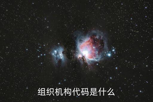 世聯(lián)行組織機構(gòu)代碼是什么，組織機構(gòu)代碼篇號是什么