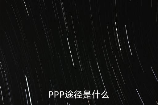 ppp是什么，生物工程是什么