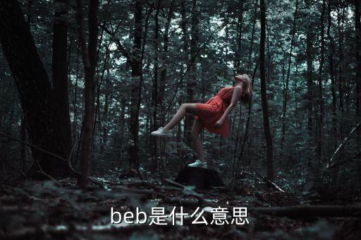 beb是什么意思