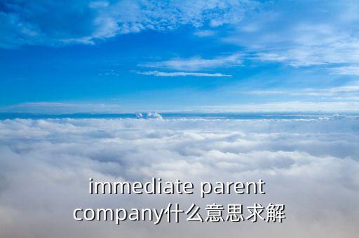 immediate parent company什么意思求解