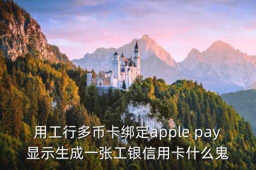 用工行多幣卡綁定apple pay顯示生成一張工銀信用卡什么鬼