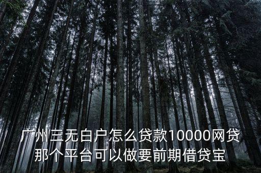 廣州三無白戶怎么貸款10000網(wǎng)貸那個平臺可以做要前期借貸寶