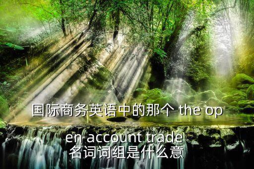 國(guó)際商務(wù)英語中的那個(gè) the open account trade 名詞詞組是什么意