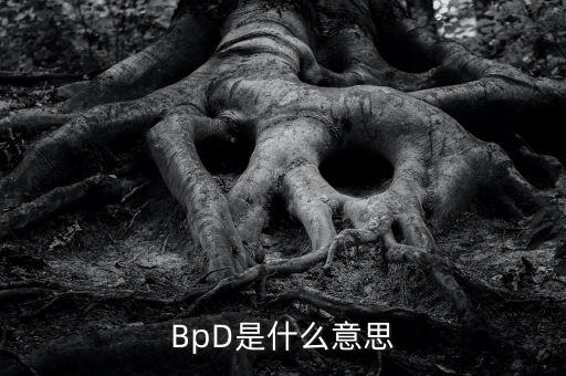 BpD是什么意思