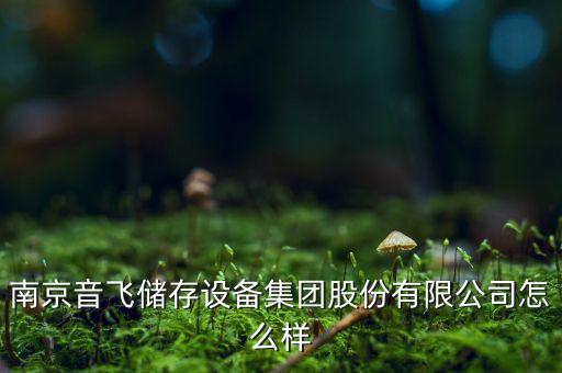 南京音飛儲存設(shè)備集團股份有限公司怎么樣