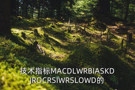 技術(shù)指標(biāo)MACDLWRBIASKDJROCRSIWRSLOWD的