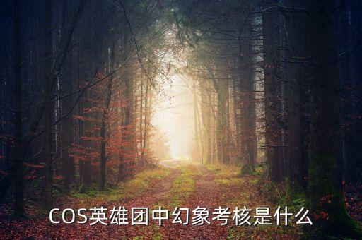 什么是影子考核，COS英雄團中幻象考核是什么