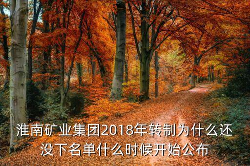 淮南礦業(yè)集團(tuán)2018年轉(zhuǎn)制為什么還沒(méi)下名單什么時(shí)候開始公布