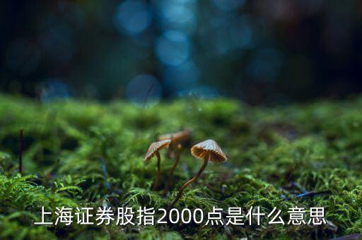 上海證券股指2000點是什么意思