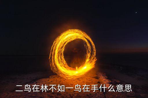 兩只鳥(niǎo)論是什么意思，誰(shuí)再談兩只鳥(niǎo)論我跟他沒(méi)完