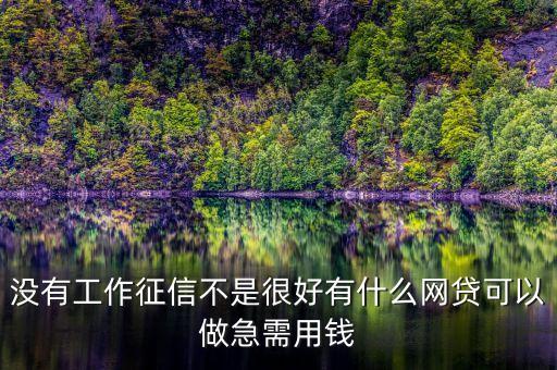 沒有工作征信不是很好有什么網(wǎng)貸可以做急需用錢