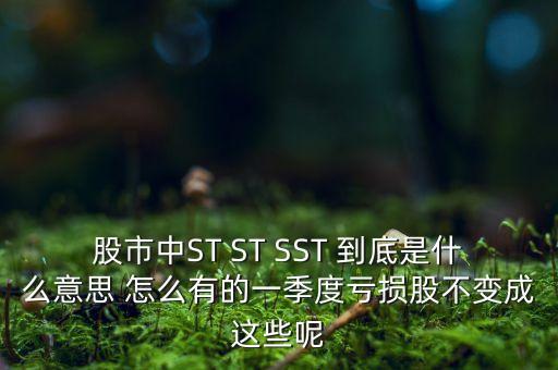 st銀山是什么公司，數(shù)量單位用st表示是什么意思