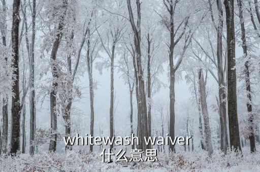 whitewash waiver 什么意思