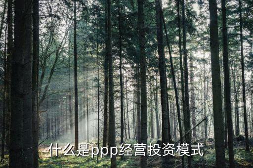 什么是ppp經營投資模式