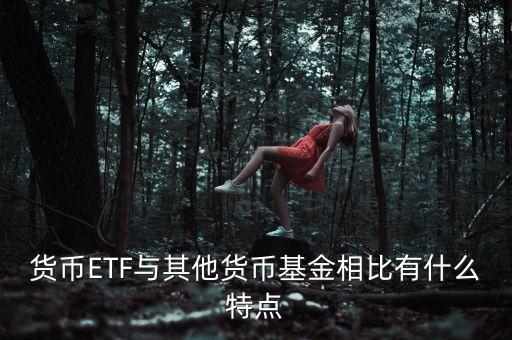 貨幣ETF與其他貨幣基金相比有什么特點(diǎn)