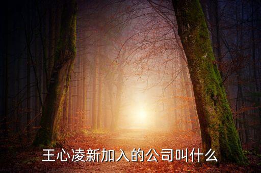 億安科技現(xiàn)在叫什么，股票億安科技現(xiàn)在改成什么名字了