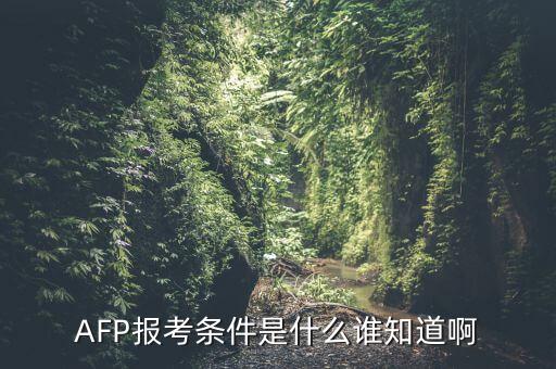 AFP報(bào)考條件是什么誰(shuí)知道啊