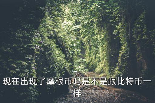 為什么摩根幣國(guó)家，現(xiàn)在出現(xiàn)了摩根幣嗎是不是跟比特幣一樣