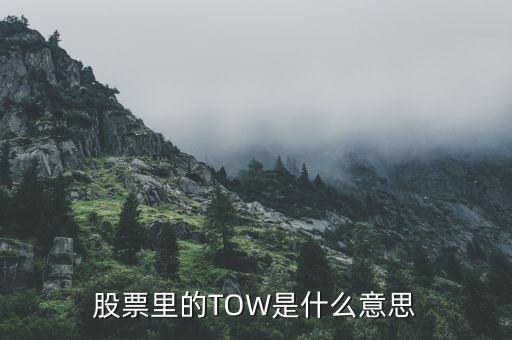 股票里的TOW是什么意思