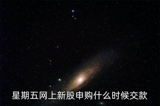 星期五網(wǎng)上新股申購什么時候交款