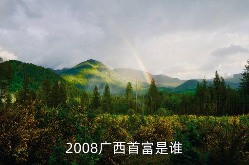 廣西臻龍什么背景，2008廣西首富是誰