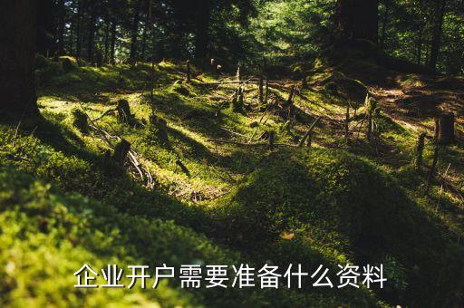 開戶要帶什么資料，社保開戶要準(zhǔn)備哪些資料