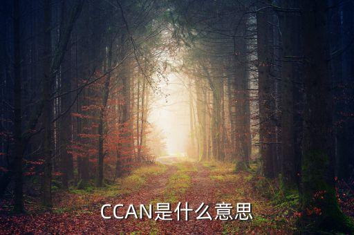 CCAN是什么意思