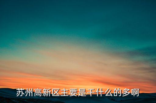 蘇州高新區(qū)主要是干什么的多啊