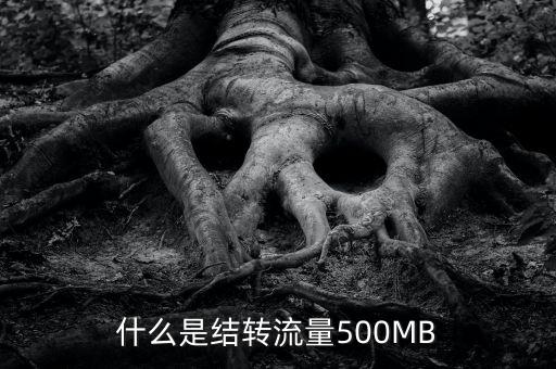 什么是結轉流量500MB