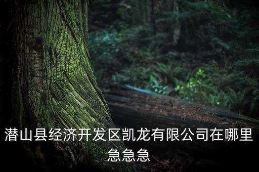 潛山縣經(jīng)濟開發(fā)區(qū)凱龍有限公司在哪里急急急