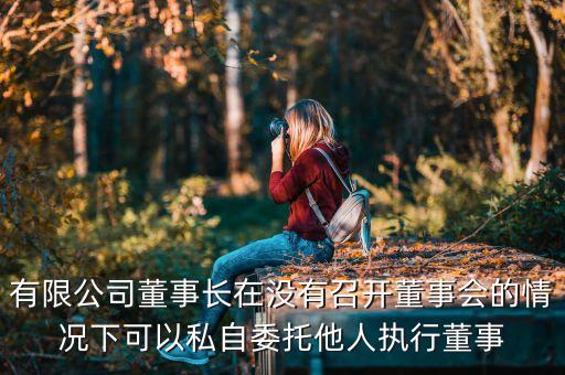 什么是董事長(zhǎng)不履行職務(wù)，有限公司董事長(zhǎng)在沒(méi)有召開(kāi)董事會(huì)的情況下可以私自委托他人執(zhí)行董事