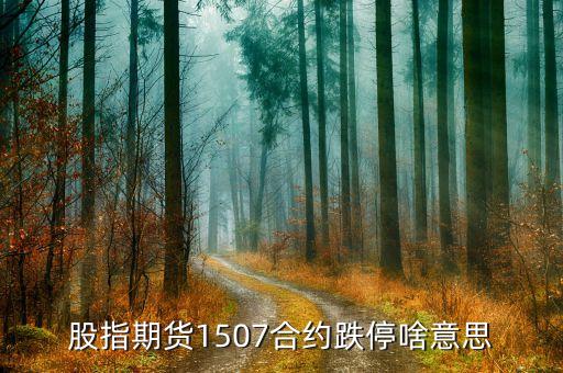 股指期貨1507合約跌停啥意思