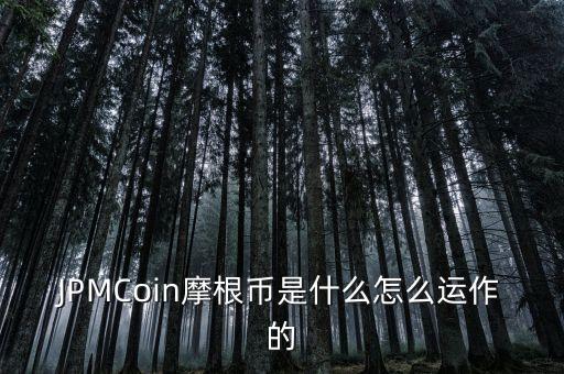 JPMCoin摩根幣是什么怎么運(yùn)作的