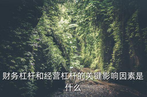 經(jīng)營(yíng)杠桿形成的原因是什么，財(cái)務(wù)杠桿和經(jīng)營(yíng)杠桿的關(guān)鍵影響因素是什么