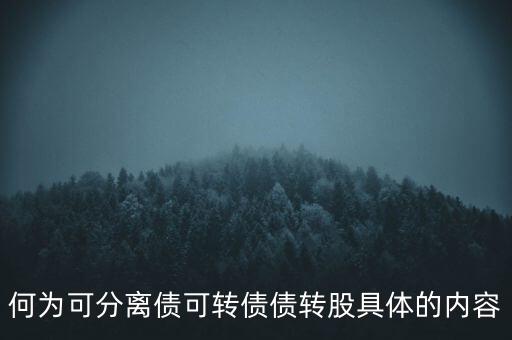 可分離債的主體是什么，債的主體是指和