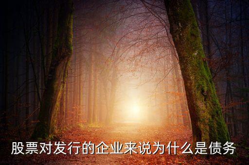 股票對(duì)發(fā)行的企業(yè)來說為什么是債務(wù)