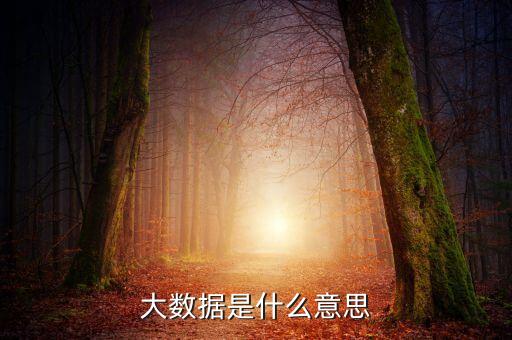 什么是博時招財一號大數(shù)據(jù)，指慧家有什么產(chǎn)品可以說一說嗎