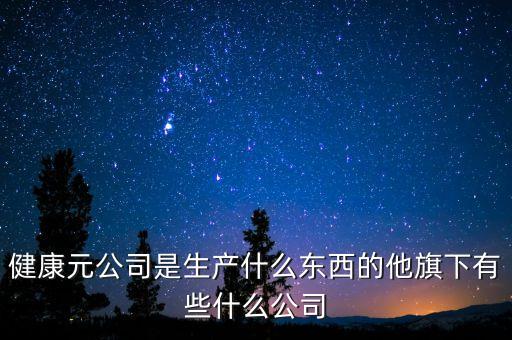 健康元公司是生產(chǎn)什么東西的他旗下有些什么公司