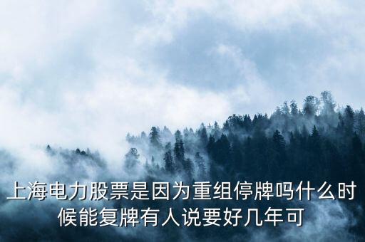 國湘資本什么時候會有消息，上海電力股票是因?yàn)橹亟M停牌嗎什么時候能復(fù)牌有人說要好幾年可