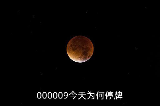 000009今天為何停牌