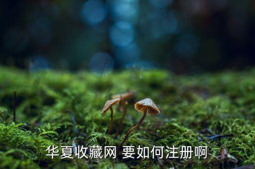 華夏收藏網(wǎng) 要如何注冊(cè)啊