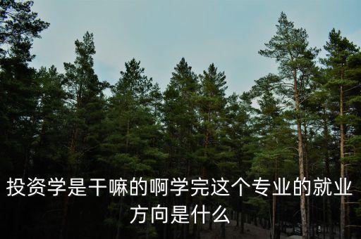 什么是投資學(xué)，上海財經(jīng)大學(xué) 公共經(jīng)濟(jì)與管理學(xué)院的 投資學(xué) 學(xué)的是什么