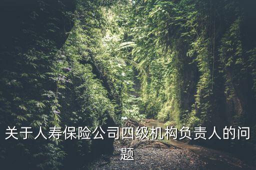 關(guān)于人壽保險(xiǎn)公司四級(jí)機(jī)構(gòu)負(fù)責(zé)人的問(wèn)題