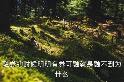 融券的時候明明有券可融就是融不到為什么