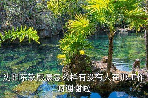 沈陽(yáng)東軟熙康怎么樣有沒有人在那工作呀謝謝啦